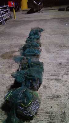 19 BUBU NAGA DIRAMPAS DI PERAIRAN KUALA PERLIs 2