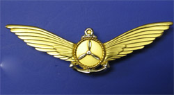 SayapAirCrewMan3