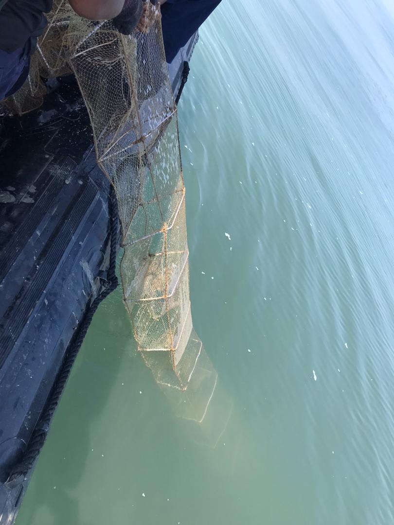 52fb7c43 ea27 487f b6c5 056233812c76