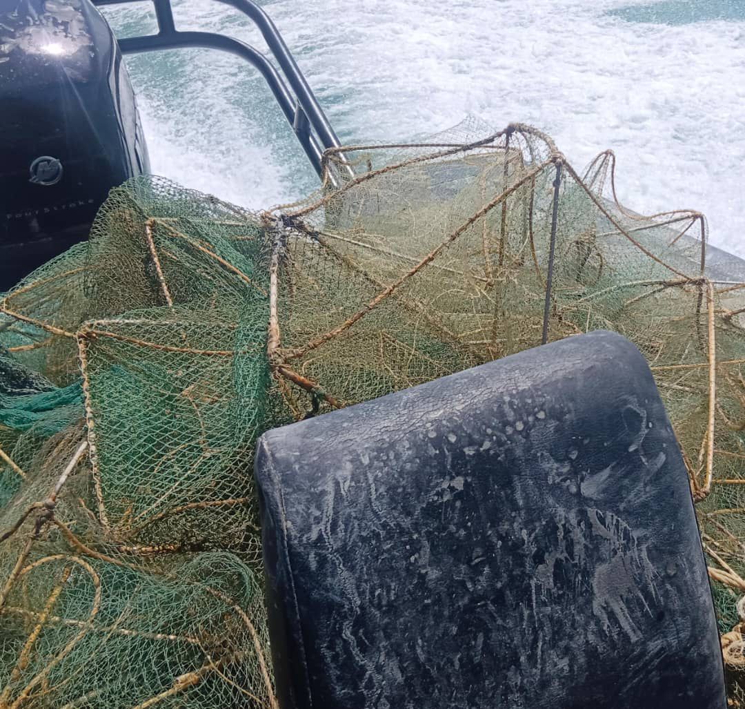 THAI CEROBOH PERLIS 5