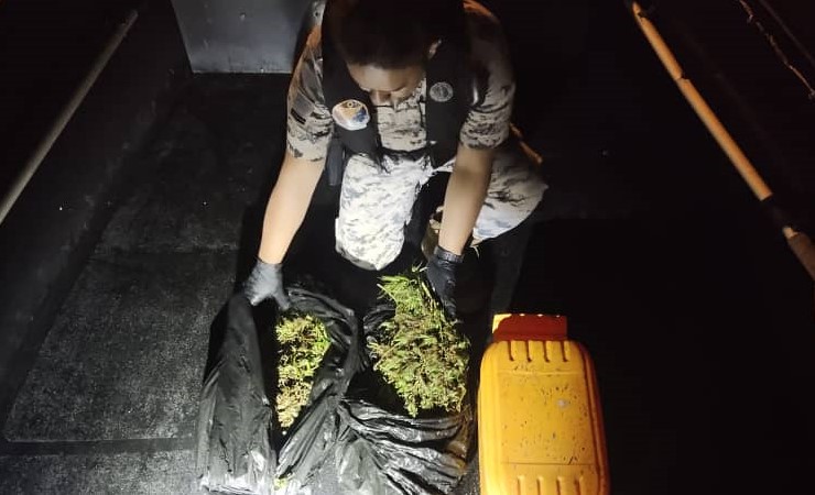 SELUDUP GANJA SEGAR 2