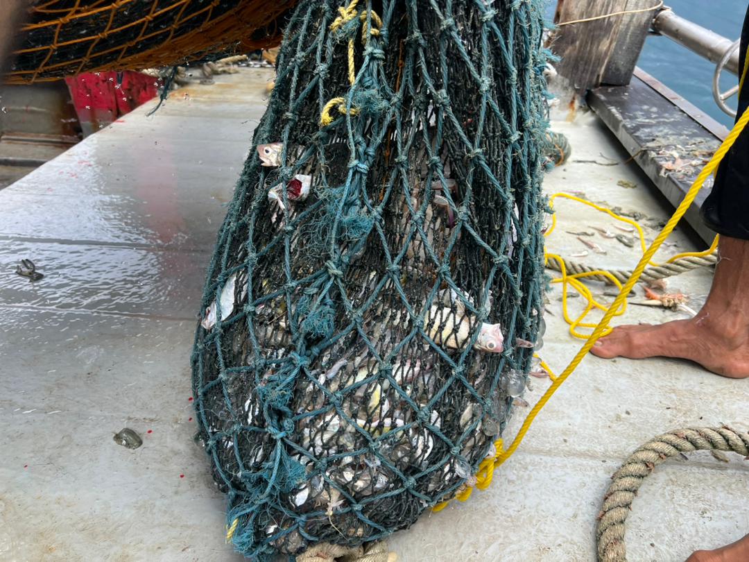 WhatsApp Image 2023 11 03 at 11.36.32 AM