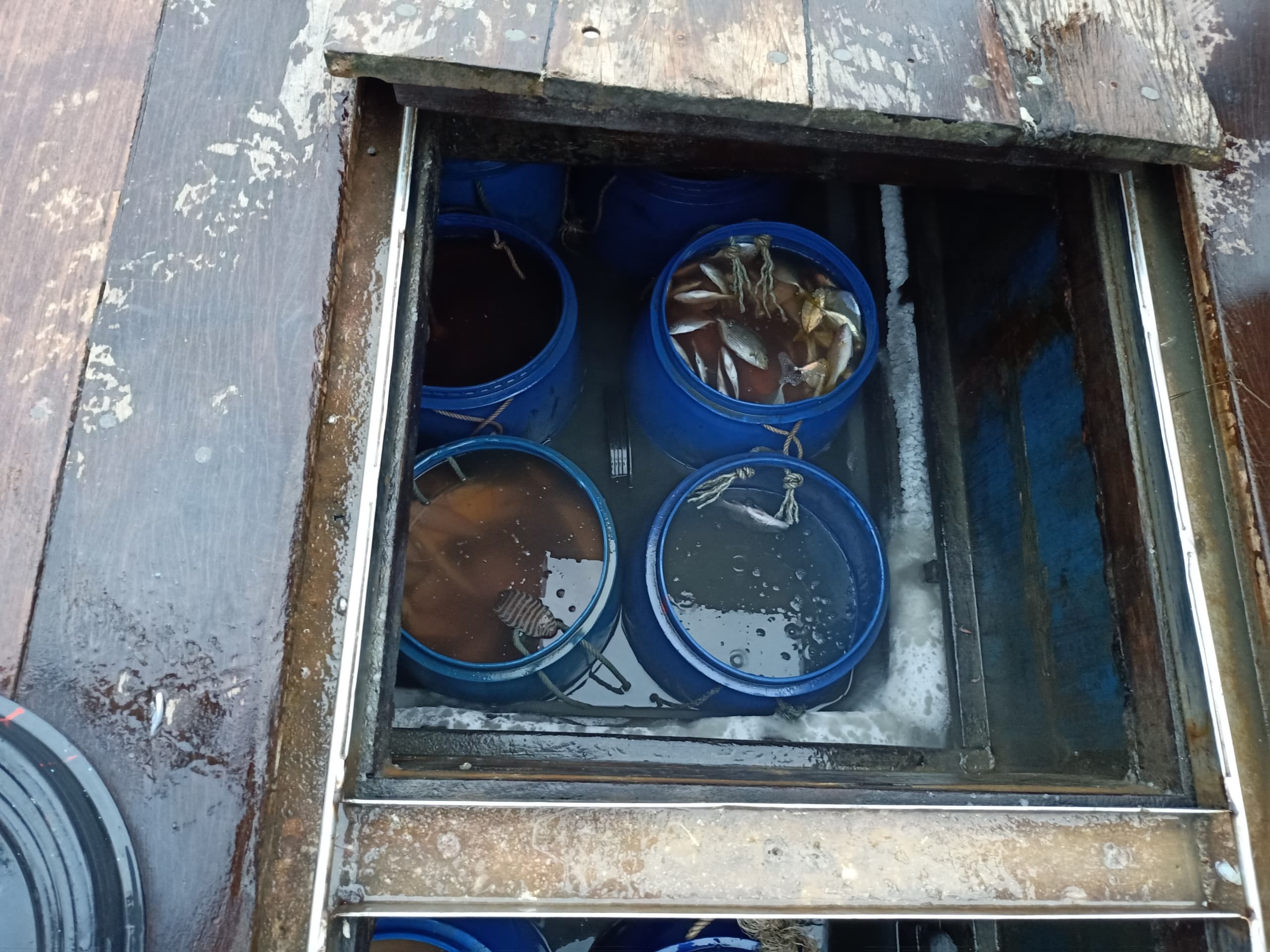 WhatsApp Image 2023 11 21 at 12.15.18 PM