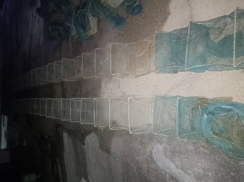 WhatsApp Image 2022 10 12 at 4.14.35 PM 1