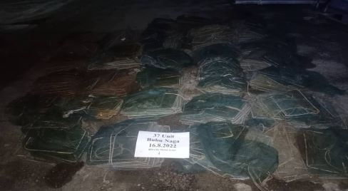 WhatsApp Image 2022 08 20 at 8.43.29 AM