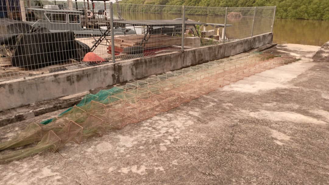 WhatsApp Image 2023 10 11 at 1.01.08 PM