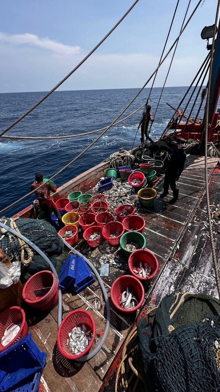 WhatsApp Image 2024 08 06 at 11.36.13 AM