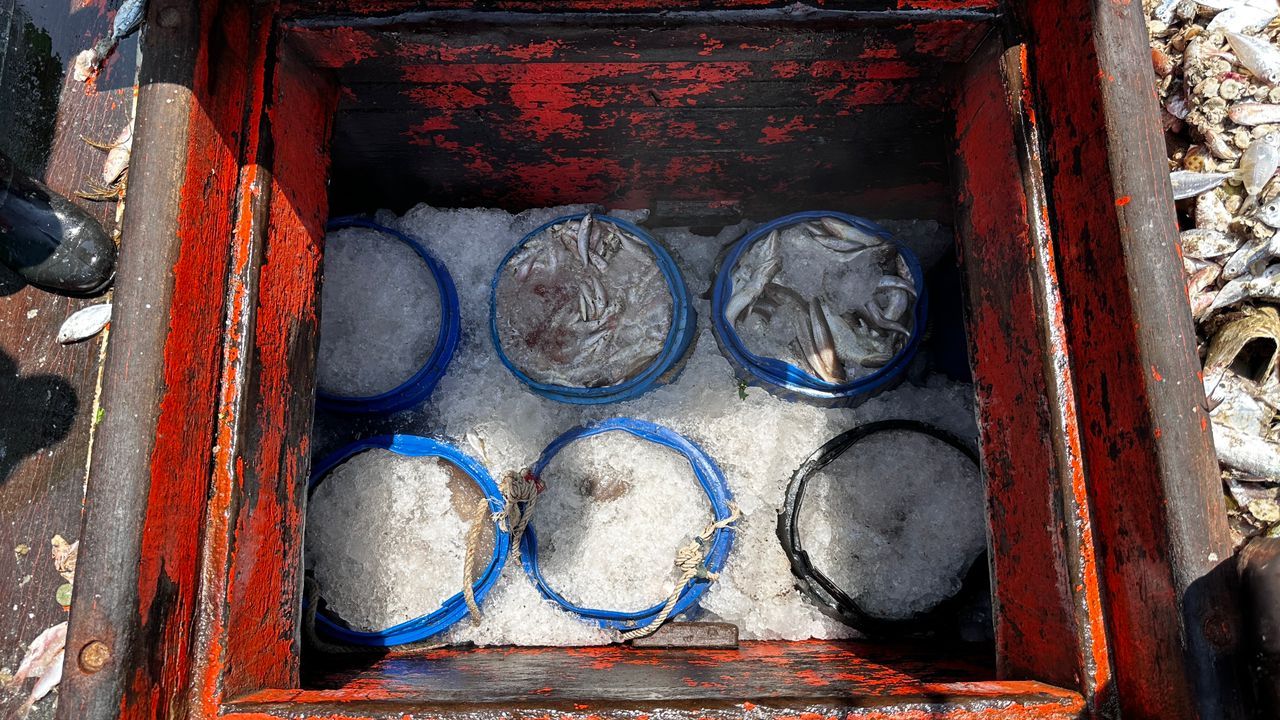 WhatsApp Image 2024 08 06 at 11.36.14 AM 2