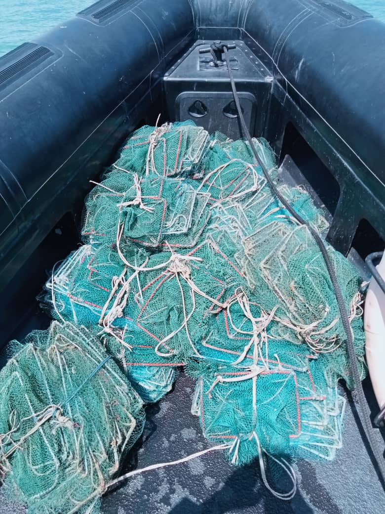 WhatsApp Image 2024 05 06 at 6.27.46 PM