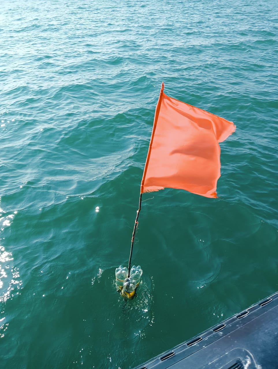 WhatsApp Image 2024 02 02 at 1.54.50 PM