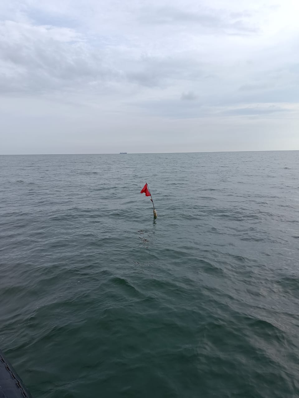 WhatsApp Image 2024 04 17 at 1.19.36 PM 1