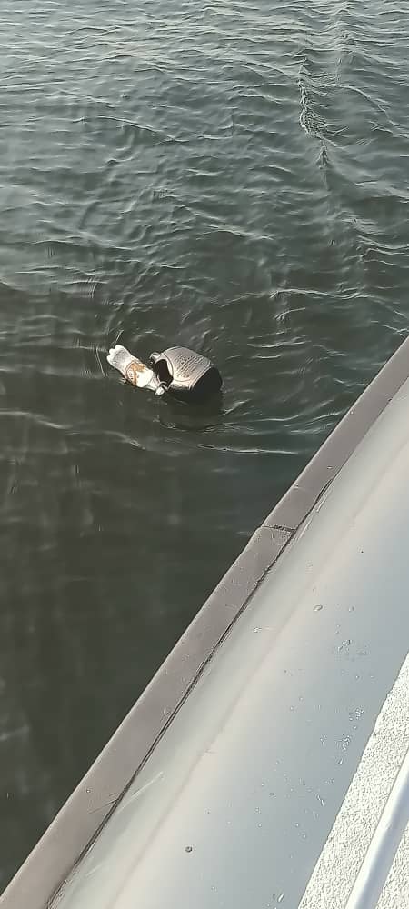 WhatsApp Image 2024 02 24 at 6.11.09 PM