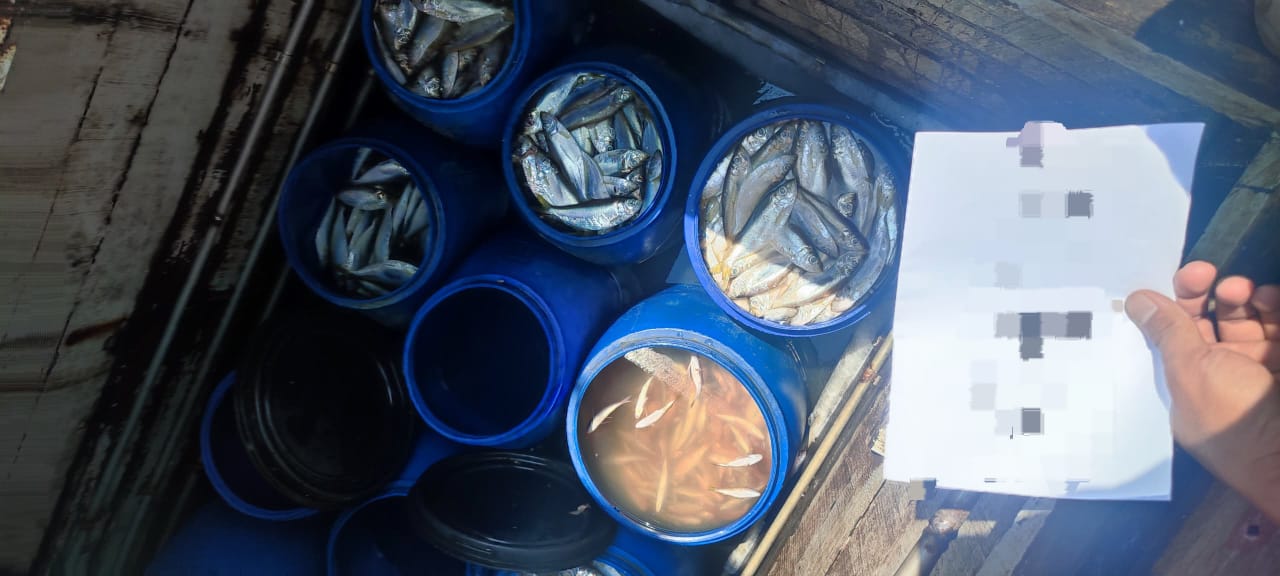 WhatsApp Image 2025 07 04 at 3.44.43 PM