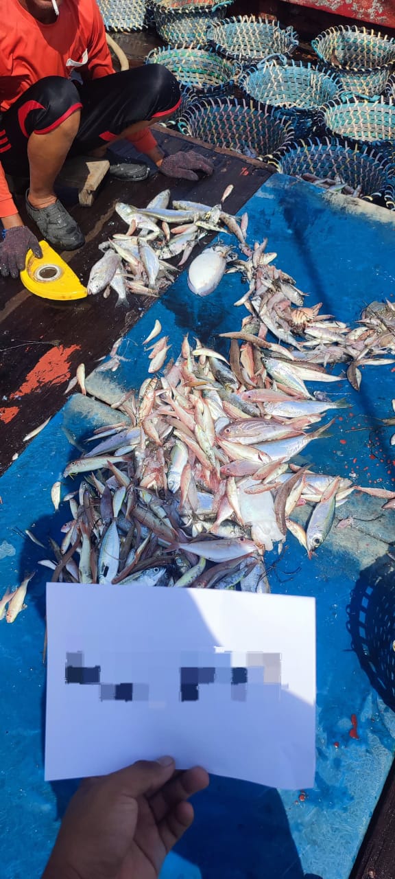 WhatsApp Image 2025 07 04 at 3.44.44 PM 1