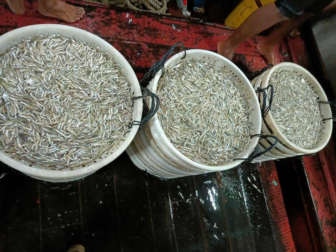 WhatsApp Image 2025 07 11 at 7.13.55 PM 2