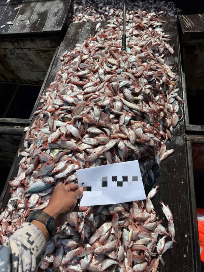 LANGGAR SYARAT PERAK3