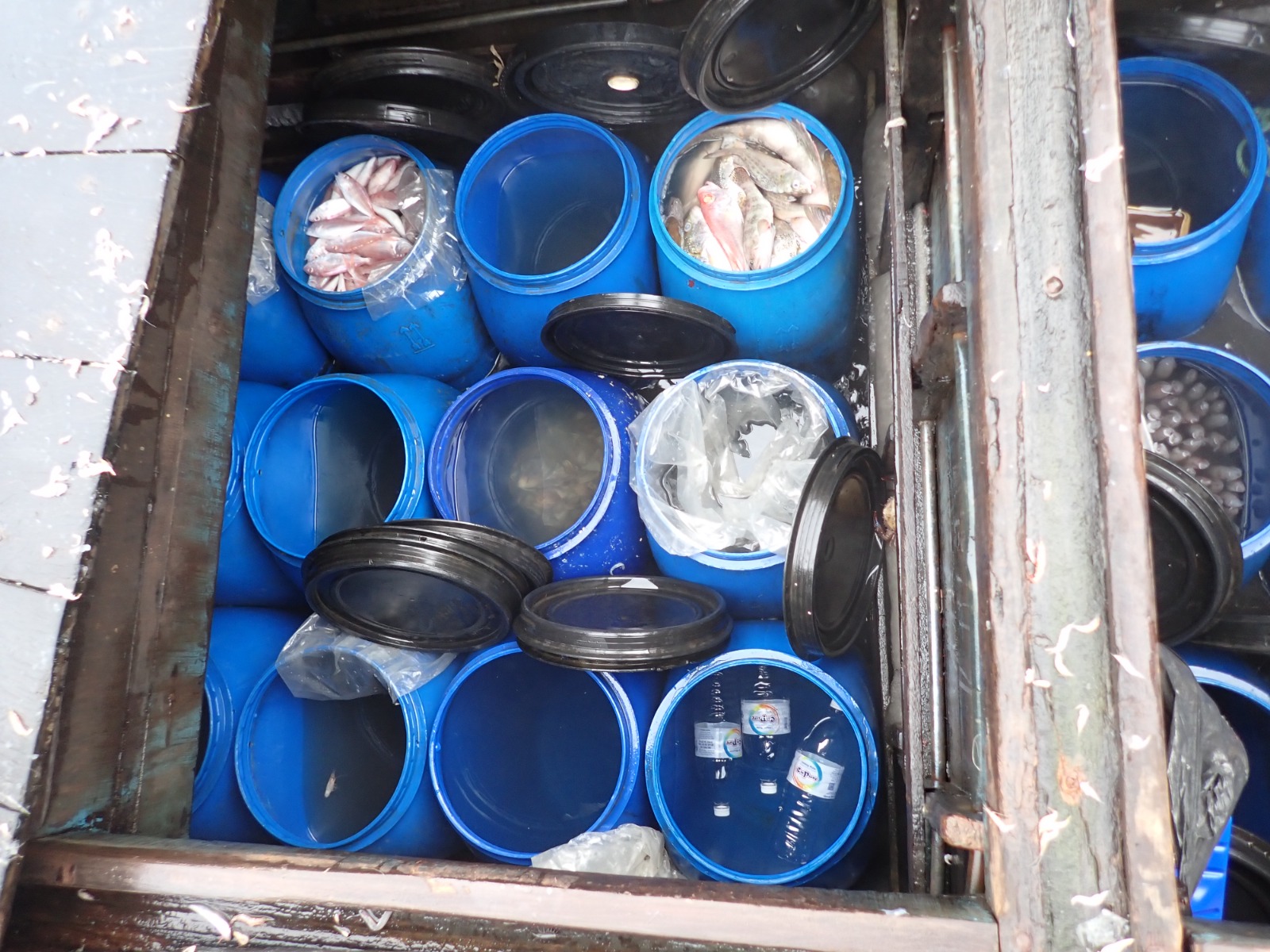 WhatsApp Image 2024 02 08 at 4.39.58 PM