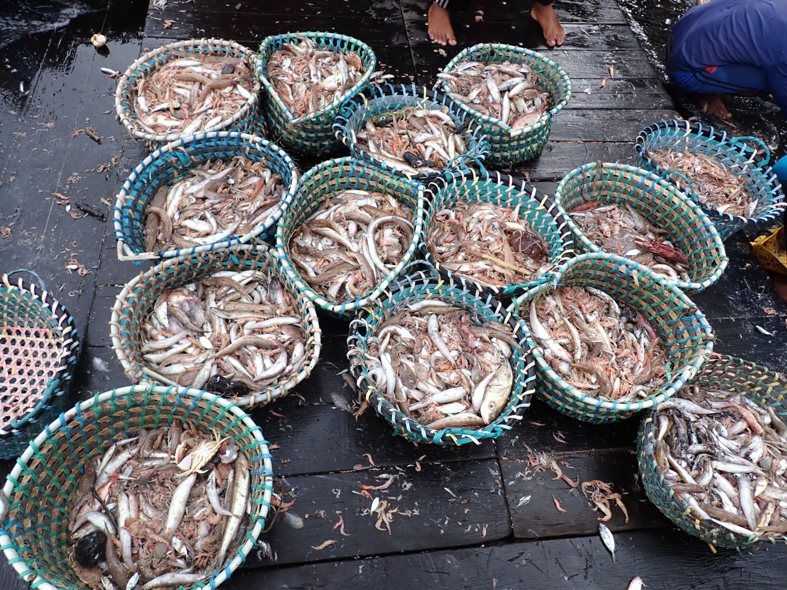 WhatsApp Image 2024 02 08 at 4.39.58 PM 1