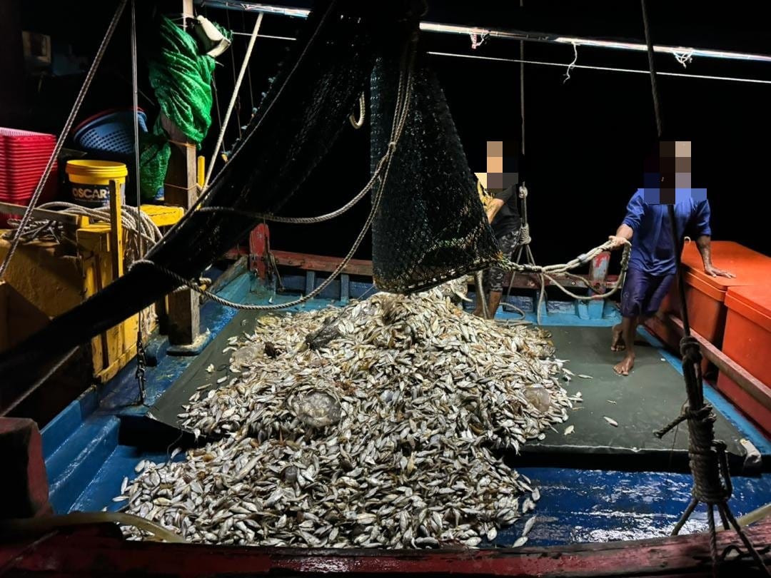 WhatsApp Image 2024 05 27 at 12.18.40 PM