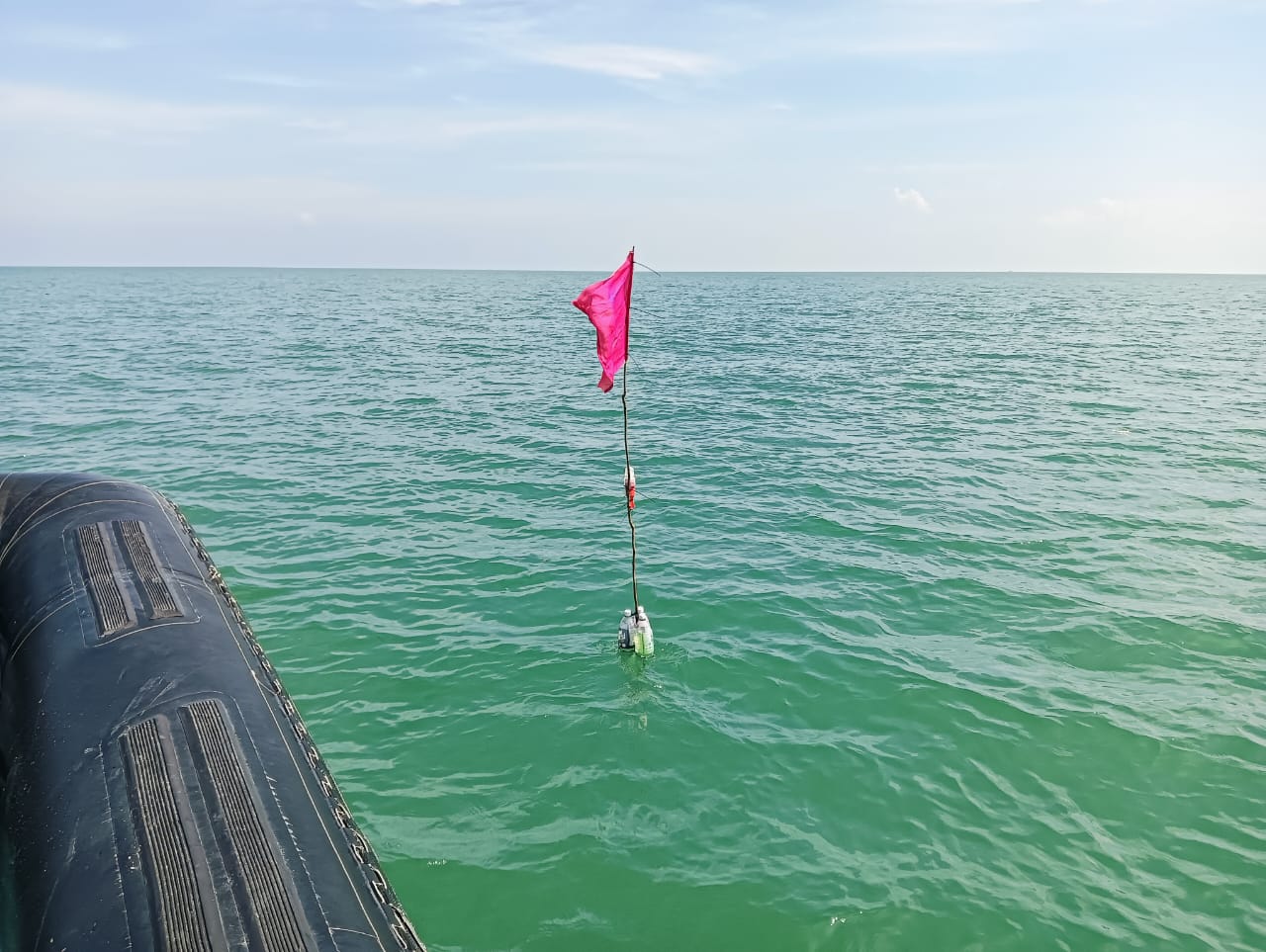 WhatsApp Image 2024 04 22 at 1.23.44 PM