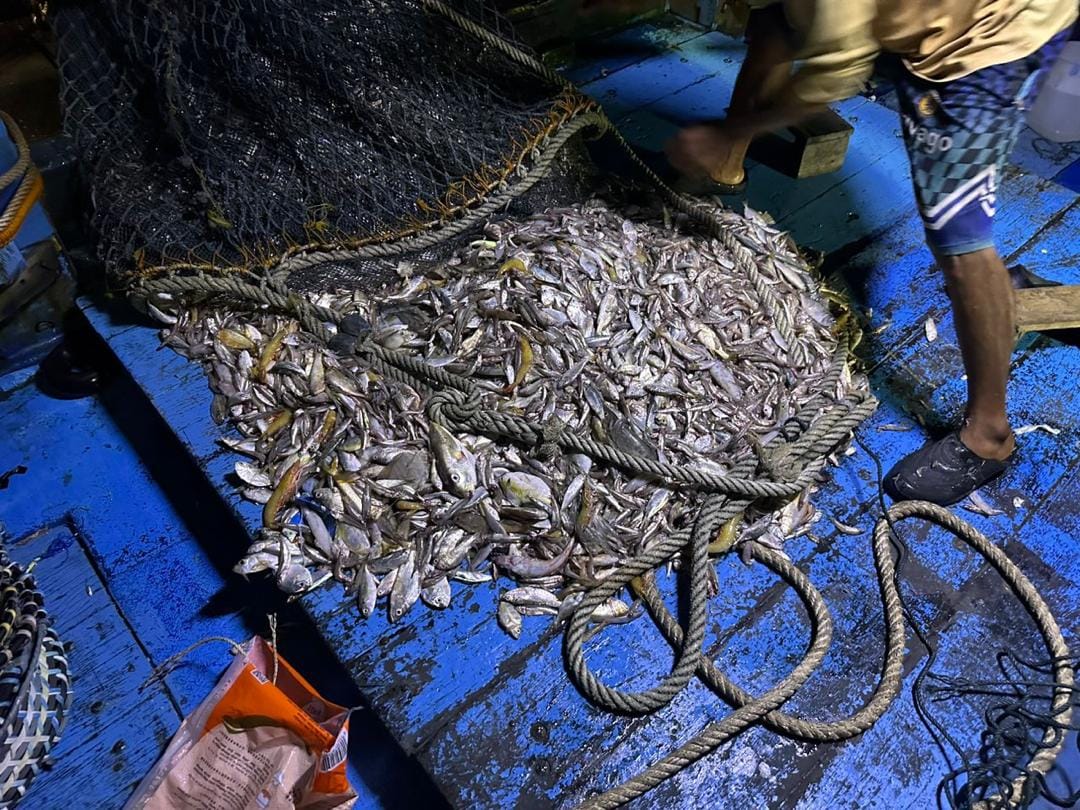 LANGGAR SYARAT LUMUT 4