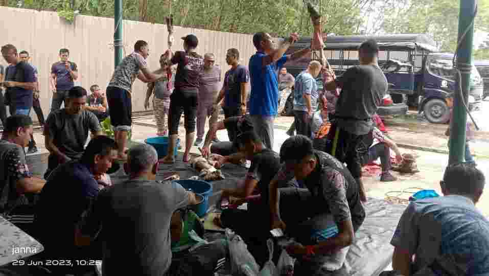 97c628954673051497c6289546730514KORBANMNSABAH