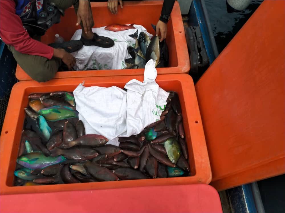 WhatsApp Image 2024 07 06 at 3.43.07 PM