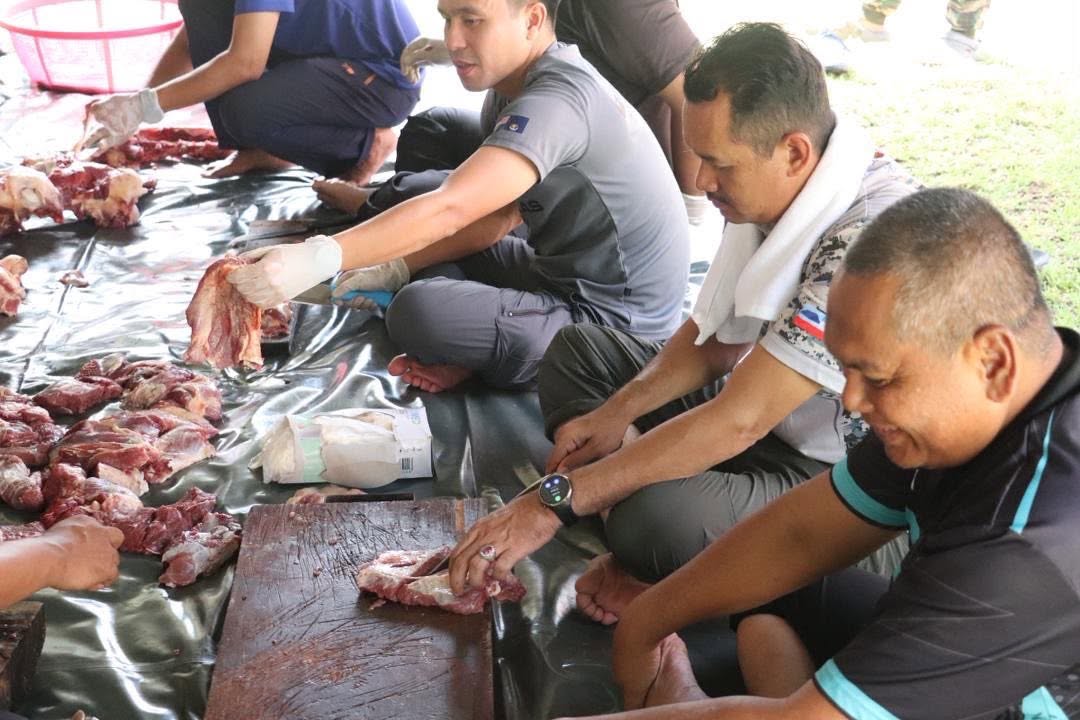 KORBAN SBH2
