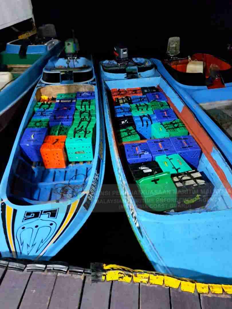 AYAM SABUNG EDITED 3