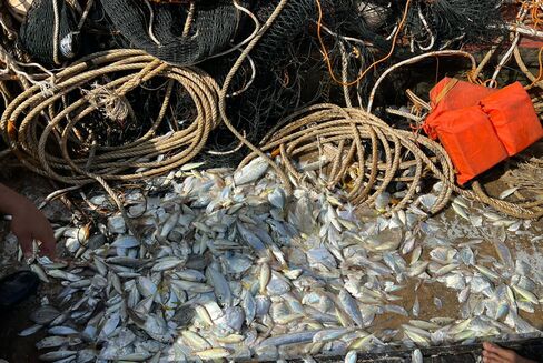 WhatsApp Image 2023 03 23 at 12.44.22 2