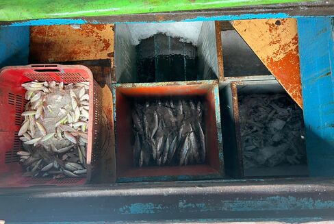 WhatsApp Image 2023 03 23 at 12.44.23