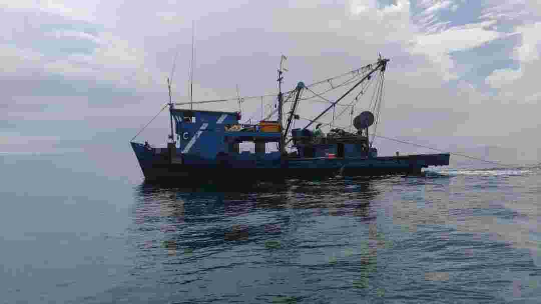 e323118e6e863ccde323118e6e863ccdBOTDITAHAN4