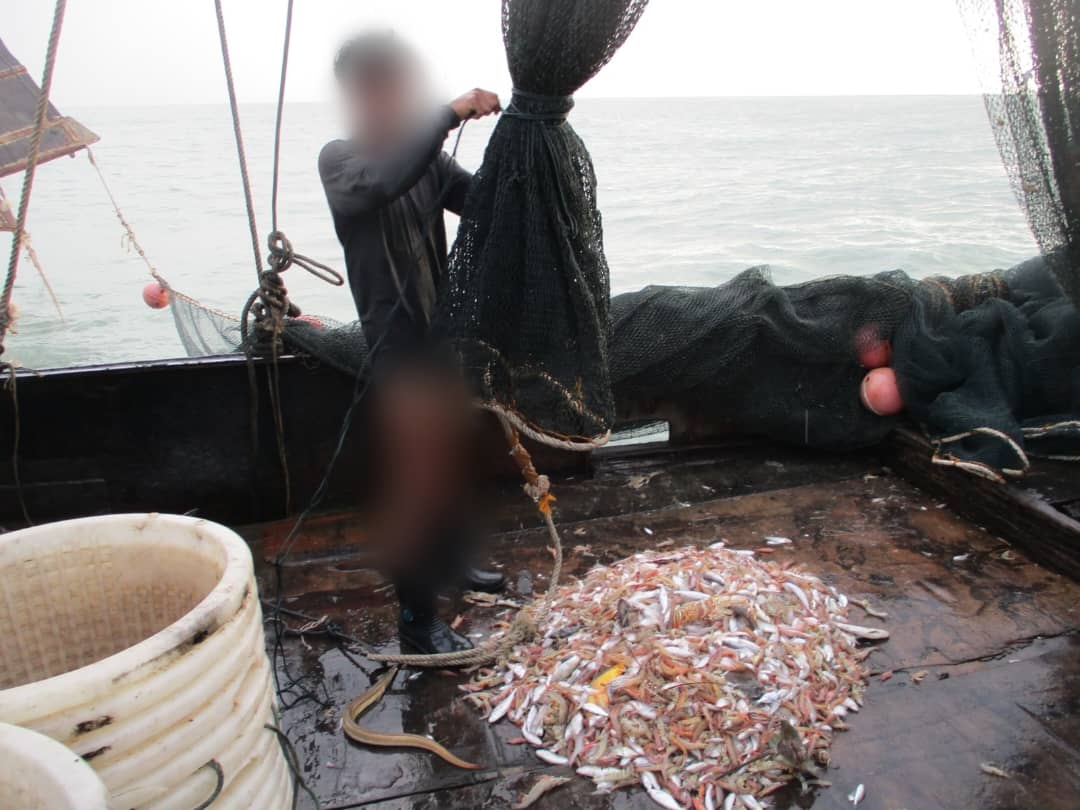 WhatsApp Image 2024 02 02 at 8.25.33 AM