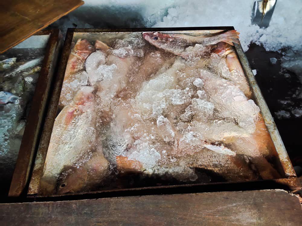 ZON MARITIM BINTULU 3