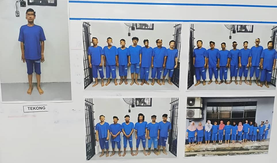 PATI 33 INDO3