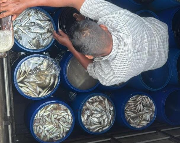 PELABUHAN KLANG SALAH2