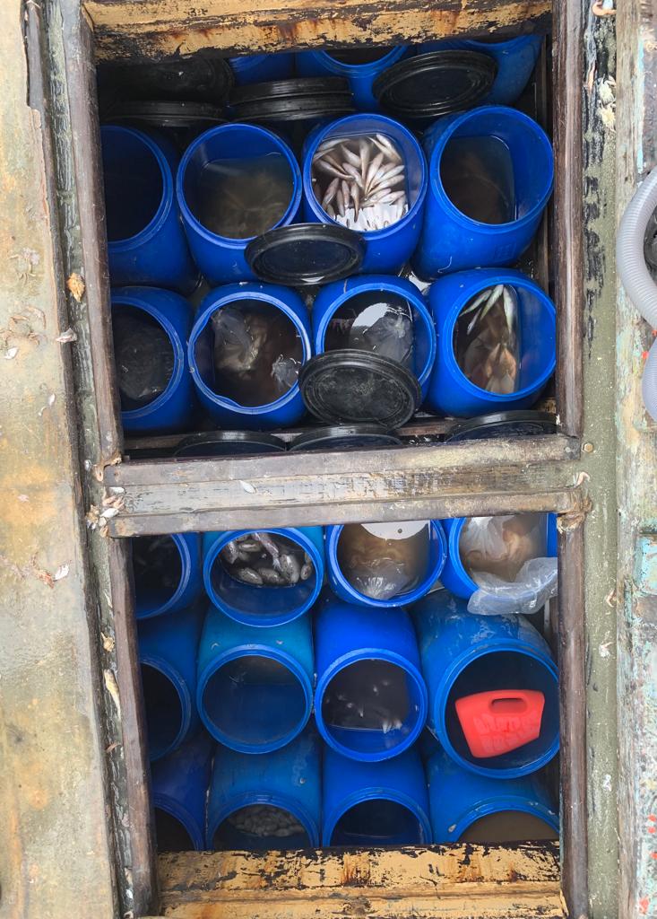 WhatsApp Image 2023 02 02 at 09.43.00