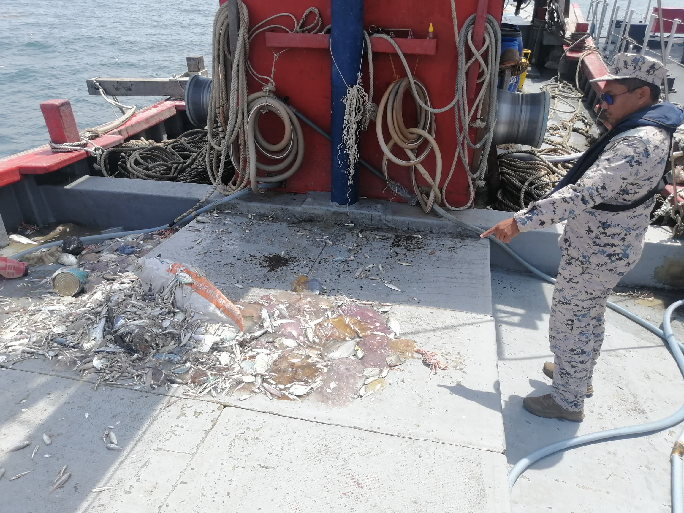 WhatsApp Image 2024 02 08 at 9.43.02 AM 1