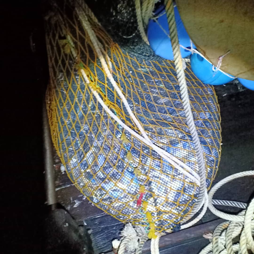 WhatsApp Image 2020 04 28 at 6.41.51 PM 1