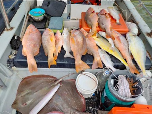 WhatsApp Image 2020 04 30 at 2.09.49 PM