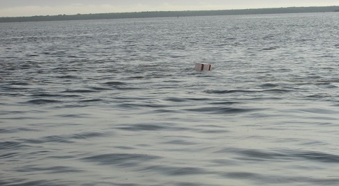 IMG 20220901 WA0021
