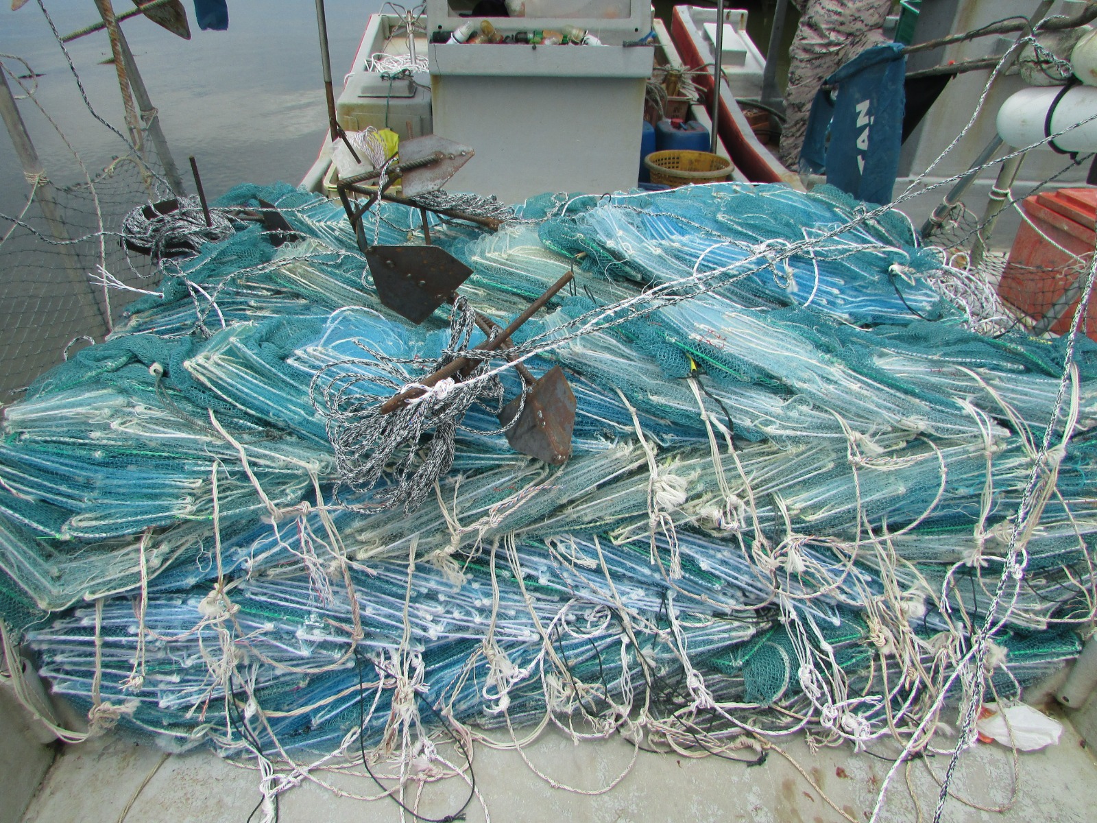 WhatsApp Image 2023 03 01 at 10.54.36 1