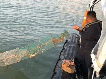19 BUBU NAGA DIRAMPAS DI PERAIRAN KUALA PERLIS