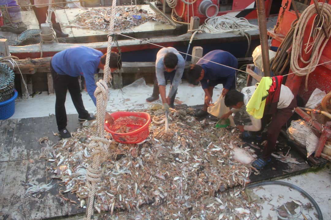 WhatsApp Image 2019-10-16 at 5.03.39 PM 1